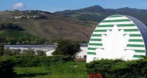 Lavoro, Amiata: Floramiata, assemblea tra sindacati e lavoratori