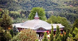 Cultura, Arcidosso: Corso di yoga in quel di Merigar