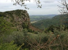 Pomarance: I sapori della tradizione: Micciano ed il Ciambellino