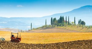 Toscana: Agricoltura, nei numeri i segnali di una lenta ma costante ripresa