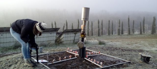 Ambiente, Toscana: Progetto LIFE Re Mida, venerdì 7 il Mid-term workshop