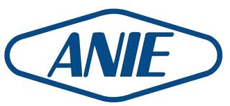 Sistemi di accumulo, per ANIE