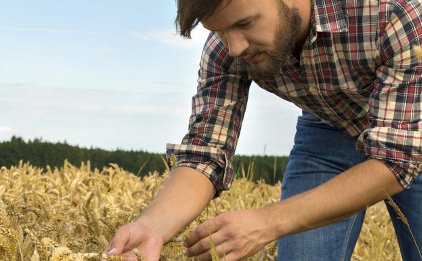 Agricoltura, Toscana: La Toscana e i contributi comunitari: già stanziati 624 milioni (su 992) del Programma di sviluppo rurale