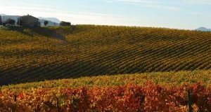 Agricoltura, Toscana: Irpet: 2006-2016, ecco come l’agricoltura toscana ha affrontato, e arginato, la crisi
