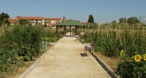 “Centomila orti in Toscana”: i contenuti e il percorso del progetto