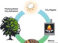 Tutti i bandi aperti per le bioenergie e le aziende agricole e non solo