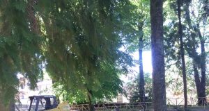 Parco della Peschiera, in corso i lavori