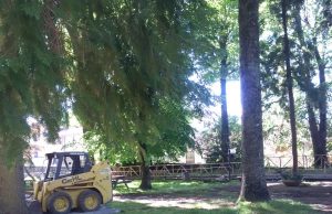 Parco della Peschiera, in corso i lavori