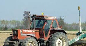 Agricoltura: Esonero contributivo per i giovani agricoltori