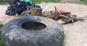 Abbadia San Salvatore. Successo per la giornata ecologica di “Rimboschiamoci le maniche”