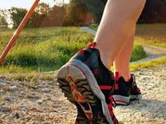 Ecco il sito dedicato al trekking nelle Terre di Siena: www.trekking.terresiena.it