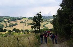 Valdicecina: Una camminata per ricordare Sandra e Nona