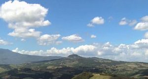 Agricoltura, Provincia di Pisa: Escalation di furti nelle campagne