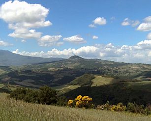 Agricoltura, Provincia di Pisa: Escalation di furti nelle campagne