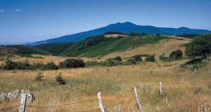 Arcidosso. Con “Tutti al Parco”, due giovani volontari per il servizio civile al Parco faunistico