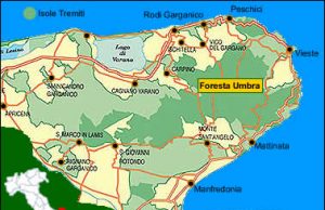 Parchi e geotermia: un connubio possibile