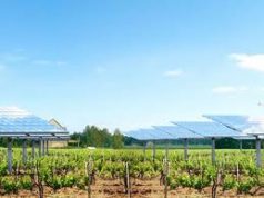 Burkina Faso: l’Ue finanzia il più grande impianto fotovoltaico dell’Africa
