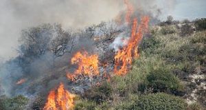 Ambiente, Val di Cecina: Verso un’estate di fuoco