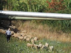 Geotermia, quali potenzialità di sviluppo per gli usi diretti del calore della Terra?