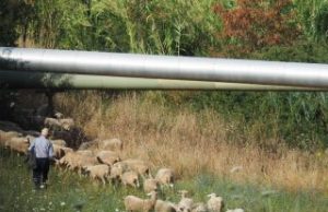 Geotermia, quali potenzialità di sviluppo per gli usi diretti del calore della Terra?