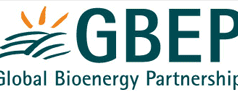 L’Atlante Globale delle Bioenergie