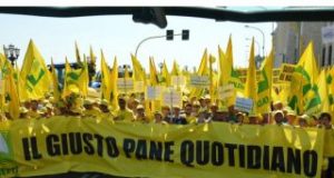Agricoltura, Toscana: La Toscana alla guerra del grano. Coldiretti: «A rischio 15.000 imprese agricole»