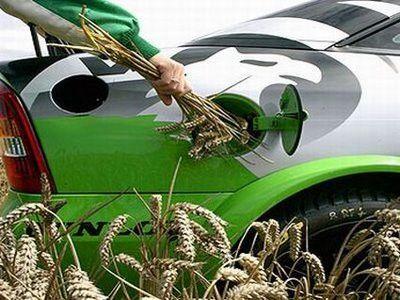 Carburante di domani. Snam investirà 150 milioni nei distributori di biogas
