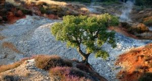 Toscana, il respiro caldo della terra