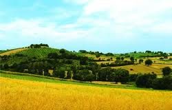 Paesaggio, Toscana: La World Bank a Firenze a scuola di paesaggio