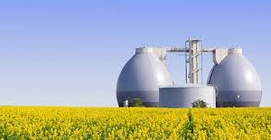 Bioenergie, potrebbero coprire il 10% del fabbisogno del nostro paese