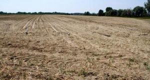 Agricoltura, Clima, Toscana: Siccità, in Toscana è stato d’emergenza