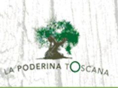 Studenti alla scoperta del cibo “sostenibile”