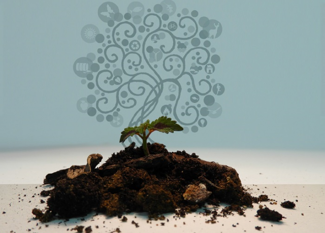 Annuario ISPRA e primo Rapporto SNPA: i dati sullo stato ambientale in Italia