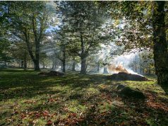 AmiatAutunno: una Toscana tutta da scoprire