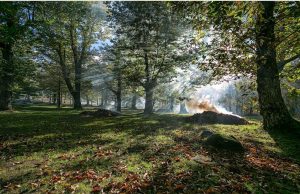AmiatAutunno: una Toscana tutta da scoprire