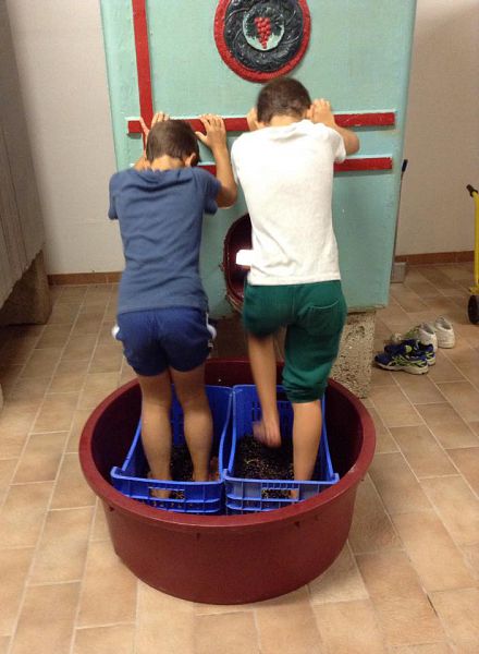 Pomarance: Quando la vendemmia diventa una festa