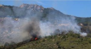 Incendi, Rossi: «Il passaggio della Forestale ai Carabinieri ha sottratto mezzi e forze»