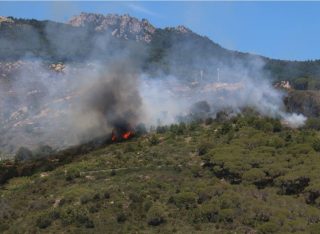 Incendi, Rossi: «Il passaggio della Forestale ai Carabinieri ha sottratto mezzi e forze»