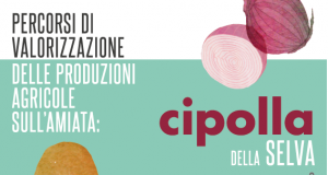 Cipolla della Selva e patata delle Macchie: un convegno sui percorsi di valorizzazione