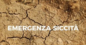 Siccità, Coldiretti: la tropicalizzazione del clima non è più un evento eccezionale
