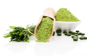 Agricoltura, Sostenibilità, Sviluppo, Geotermia: La coltivazione della microalga spirulina protagonista a Ecomondo