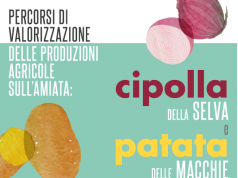 Cipolla della Selva e patata delle Macchie verso la definizione del disciplinare di produzione