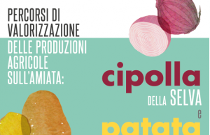 Cipolla della Selva e patata delle Macchie verso la definizione del disciplinare di produzione