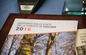 Presentato il rapporto sulle foreste, in un volume lo stato del patrimonio boschivo toscano
