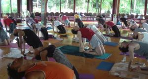 Arcidosso. Corso di meditazione e Yoga, a Merigar due giorni dedicati all’armonia e al benessere