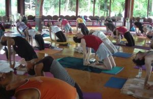 Arcidosso. Corso di meditazione e Yoga, a Merigar due giorni dedicati all’armonia e al benessere
