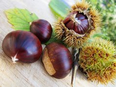 Autunno, tempo di castagne
