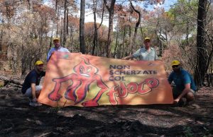 Incendi, i boschi toscani bruciati in 3 mesi hanno mandato in fumo otre 33 milioni di euro