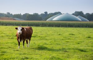 “Dal campo alla pompa”, Eni e Coldiretti insieme per una rete di rifornimento da biometano
