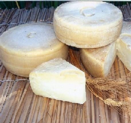 Latte ovi-caprino, intervento da 2 milioni di euro per il rilancio del settore